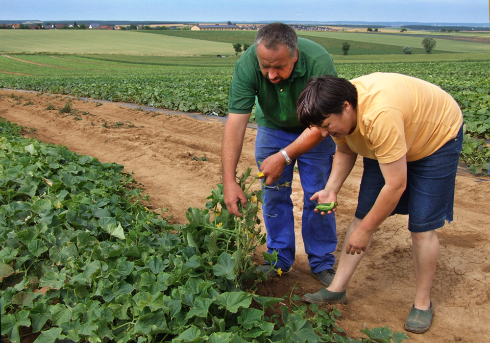 Demeterhof Konrad Demeterhof Konrad