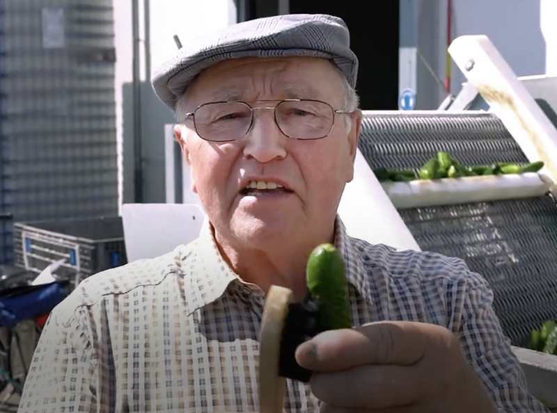 Video: Wie die Gurke ins Glas kam